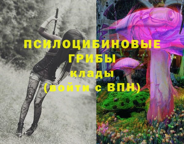наркотики Абаза