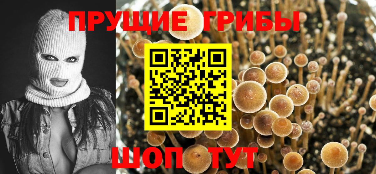 Галлюциногенные грибы Cubensis  Вход с VPN  Павловский Посад 